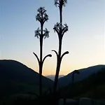 Haus Nadja Διαμέρισμα *