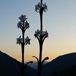 Διαμέρισμα Haus Nadja Bad Kleinkirchheim