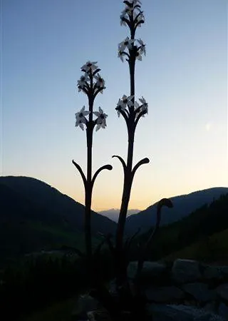 Haus Nadja Apartmán *