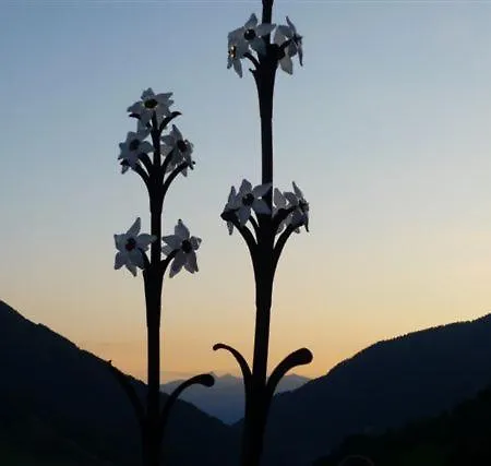 Apartmán Haus Nadja